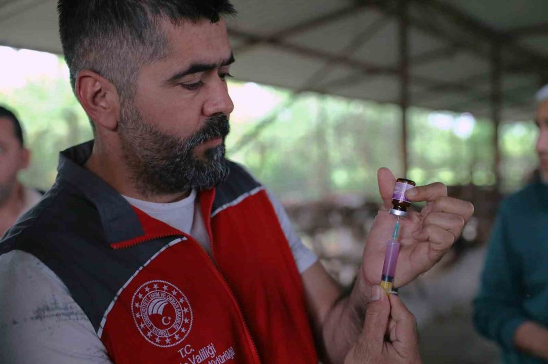 ‘Anneleri Aşılat, Buzağını Yaşat’ projesi eğitim toplantısı Ortaca’da gerçekleştirildi