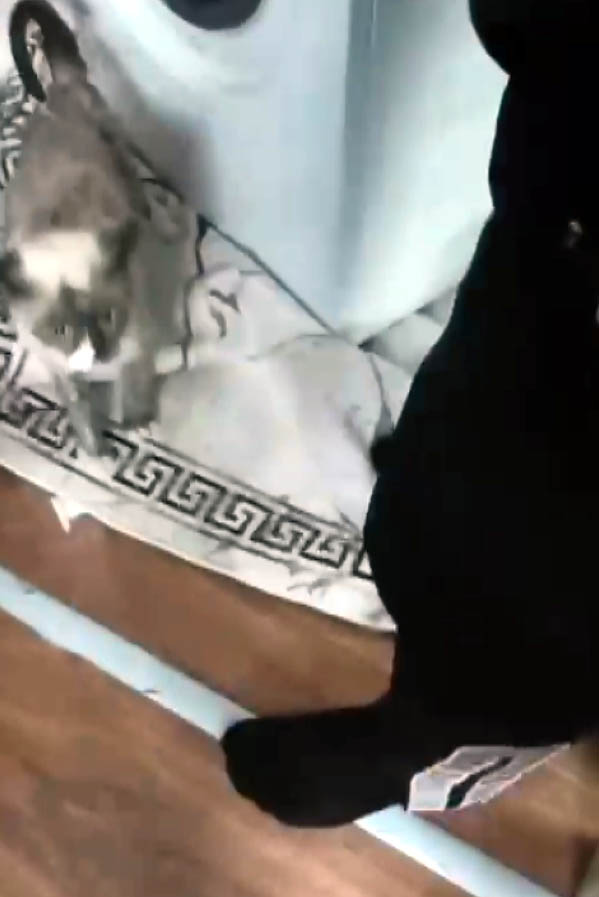 Çalışan Çamaşır Makinesinde Sıkışan Kediyi İtfaiye Kurtardı