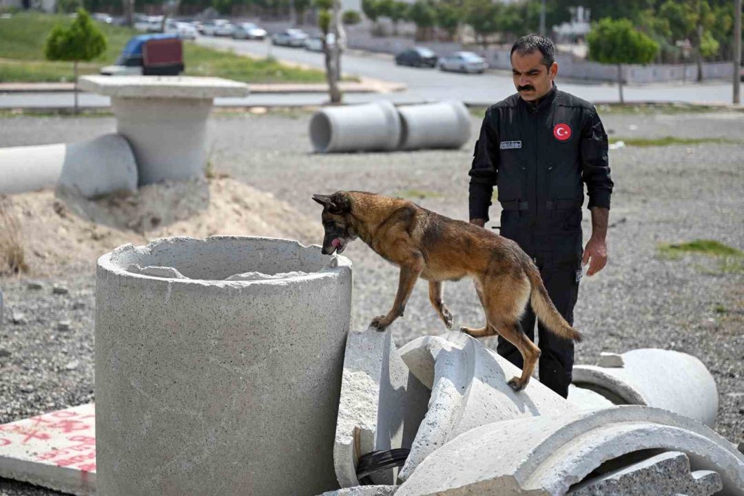 Mersin itfaiyesinin kahraman patileri Ares ve Rex’ten önemli başarı