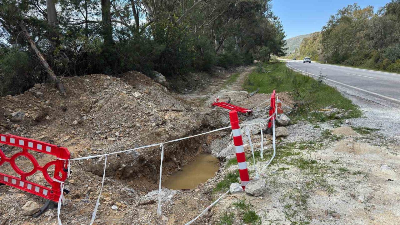 Gökova Körfezi tehlike altında