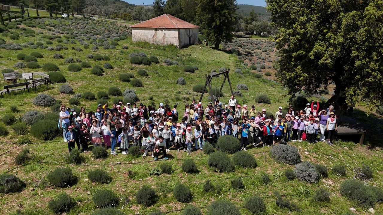 Muğla'da öğrenciler tarımı yerinde inceledi