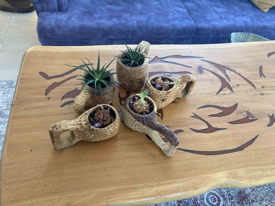 Pandemide Başlayan Hobi ile Köy Evini Sanat Galerisine Dönüştürdü