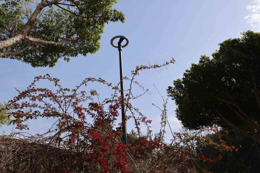 Antalya’daki Atatürk Parkı’nın ışıklandırmaları yenilendi