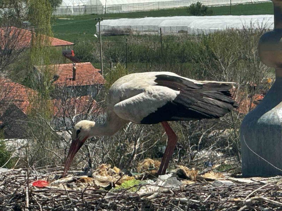Her yıl aynı caminin kubbesine yuva yapan leylek cemaatin ilgi odağı oldu
