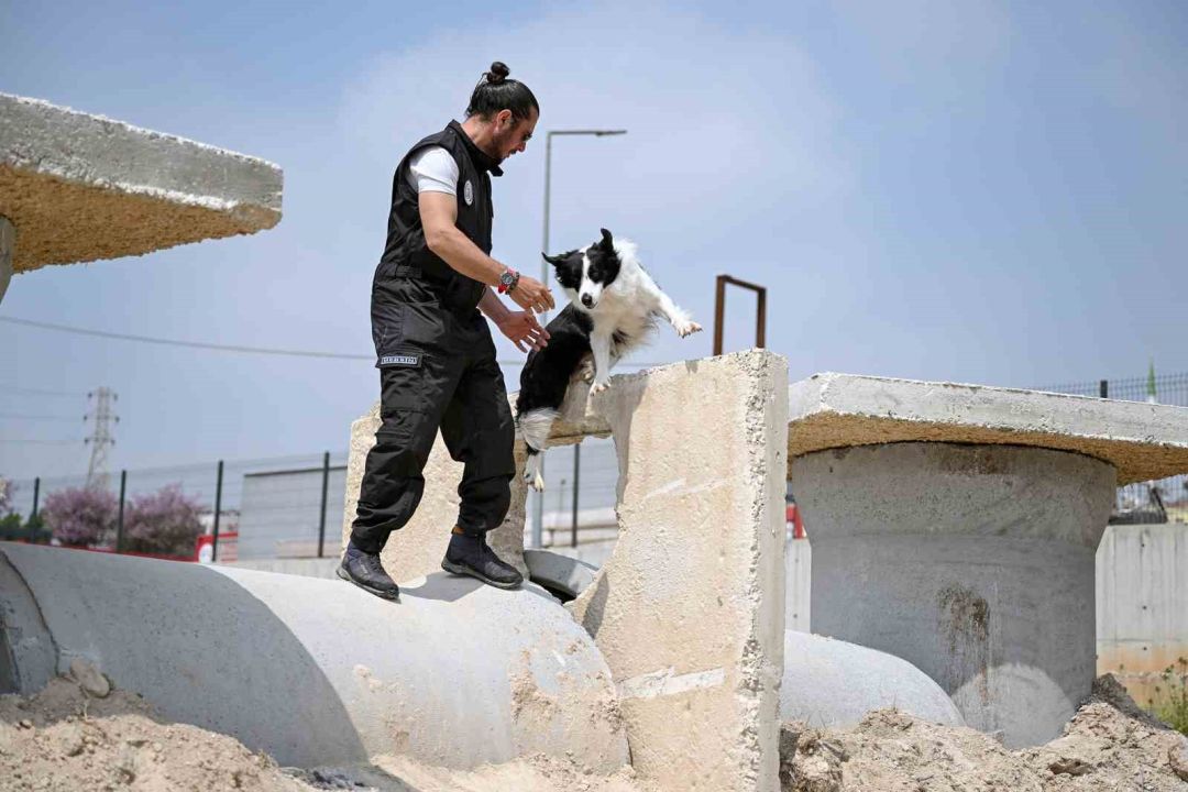 Mersin itfaiyesinin kahraman patileri Ares ve Rex’ten önemli başarı