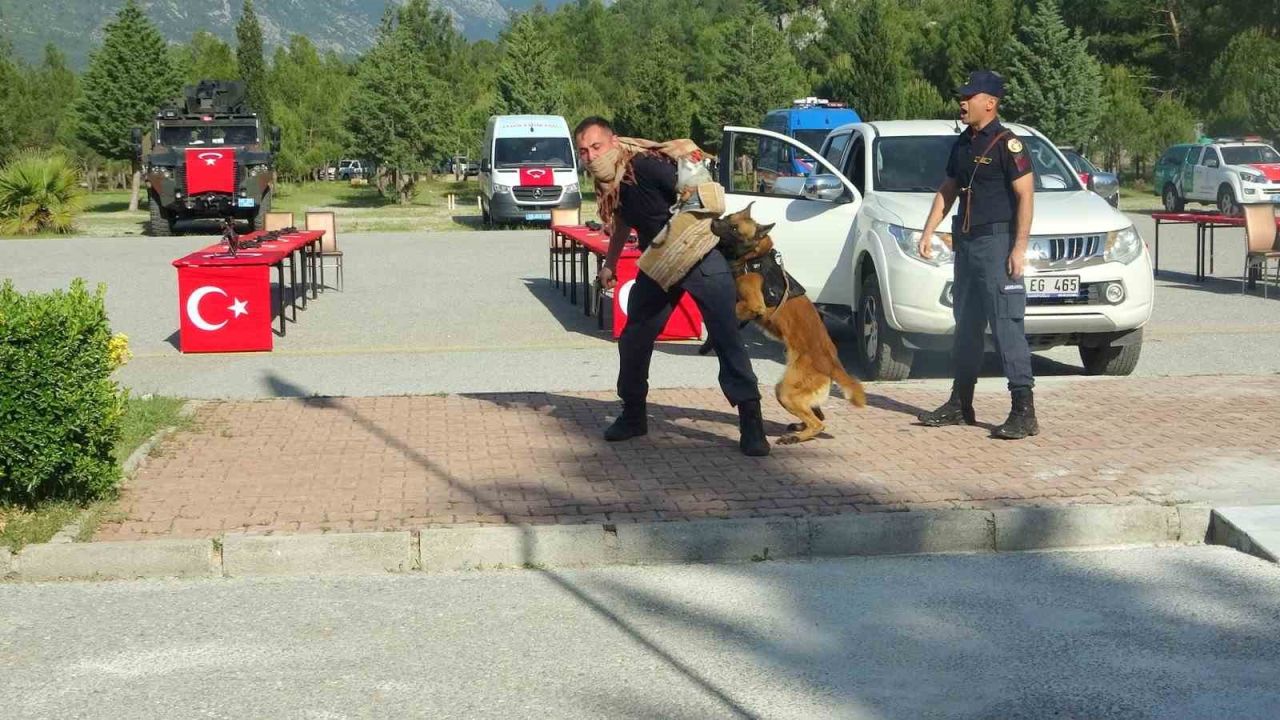 O Şimdi Asker...