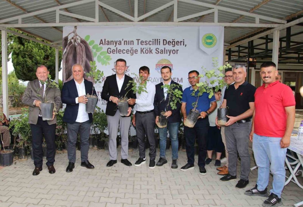 ALTSO keçiboynuzunun tescilini aldı, 3 bin fidan dağıttı