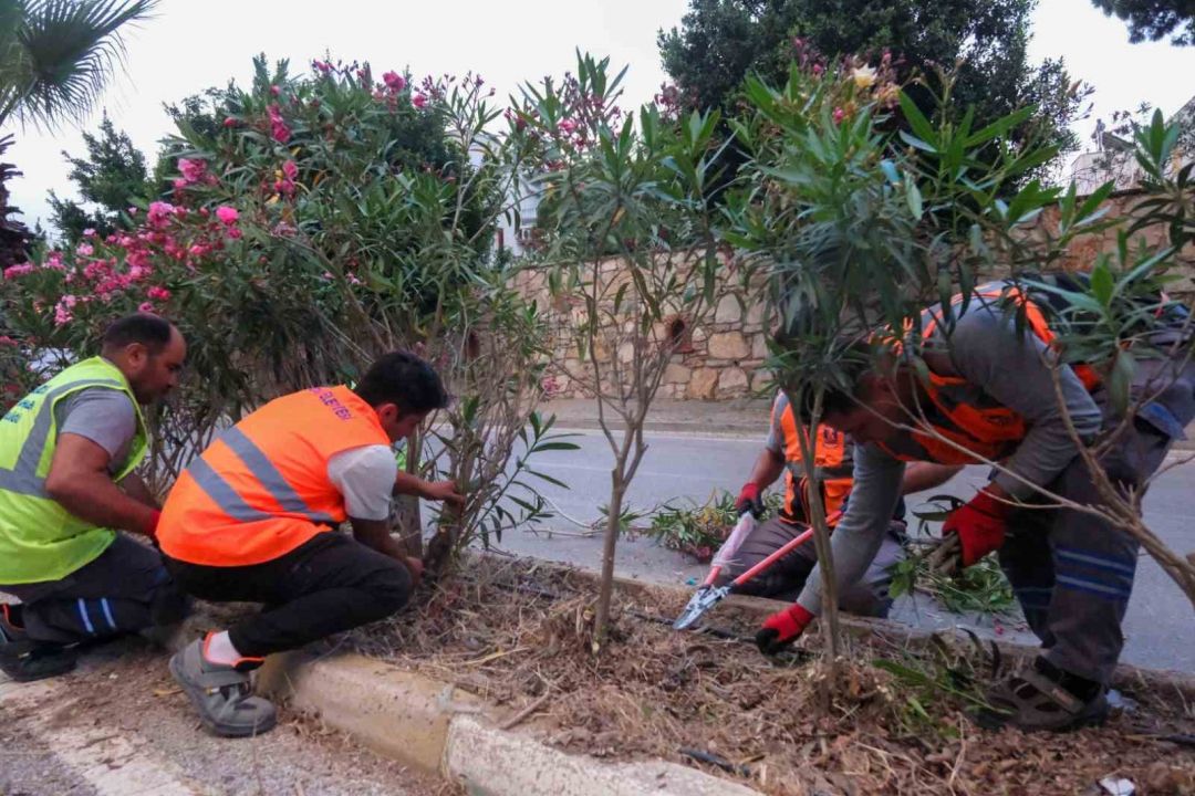 Kurban Bayramı Öncesi Çalışmalar Hızlandı