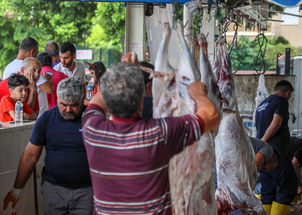Kurban Bayramı yaklaşırken 'salmonella bakterisi'ne dikkat