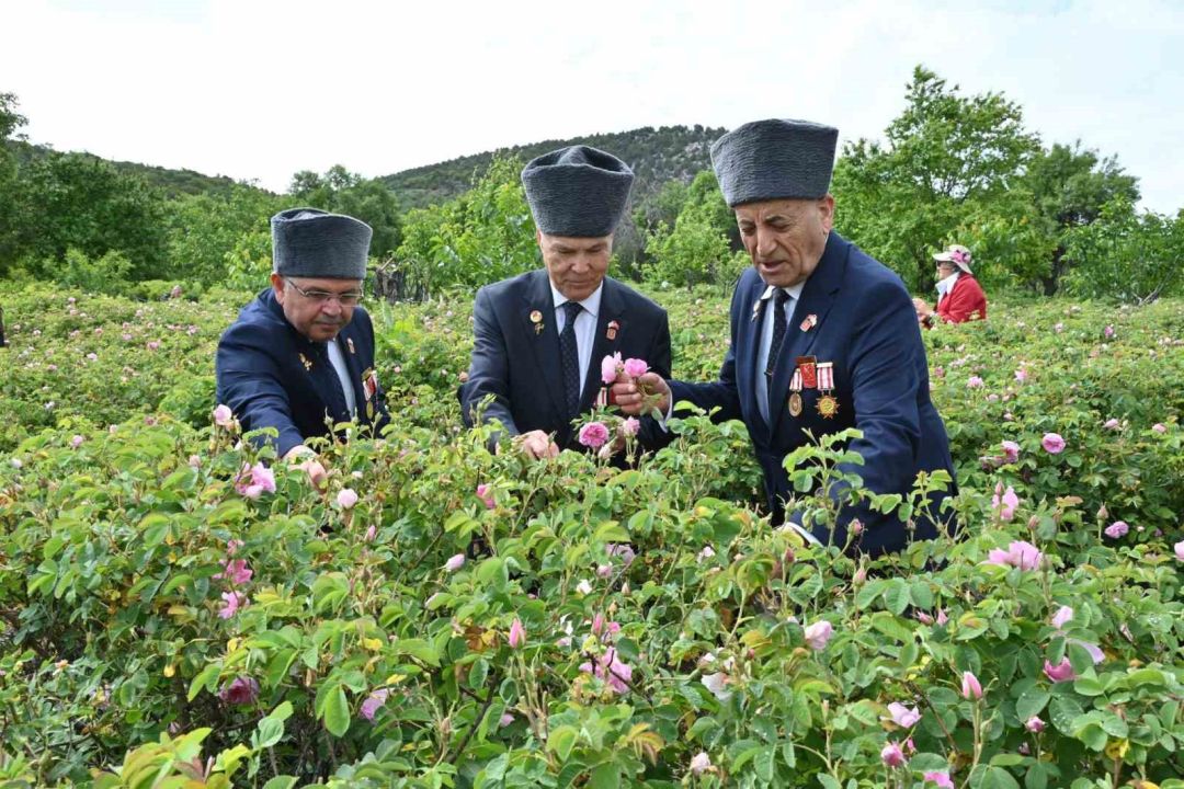 Isparta’da gül hasadı, festival coşkusunu doruklara taşıdı
