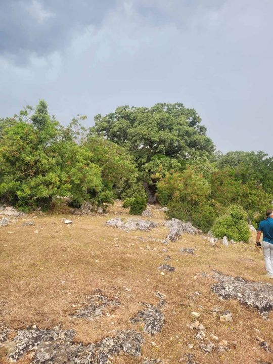 Kaş'taki mermer ocağı davasına bilirkişi keşfi