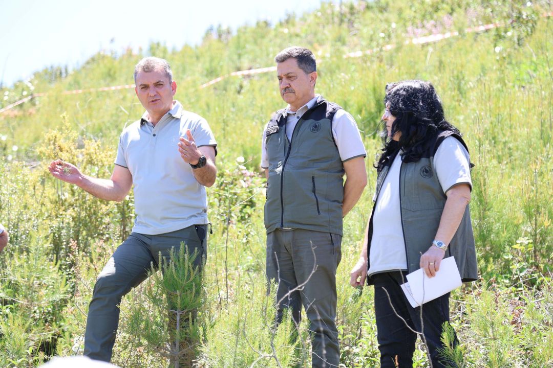 Ormanlar Kendini Yeniliyor: Muğla'da Fidanlara Gençlik Desteği