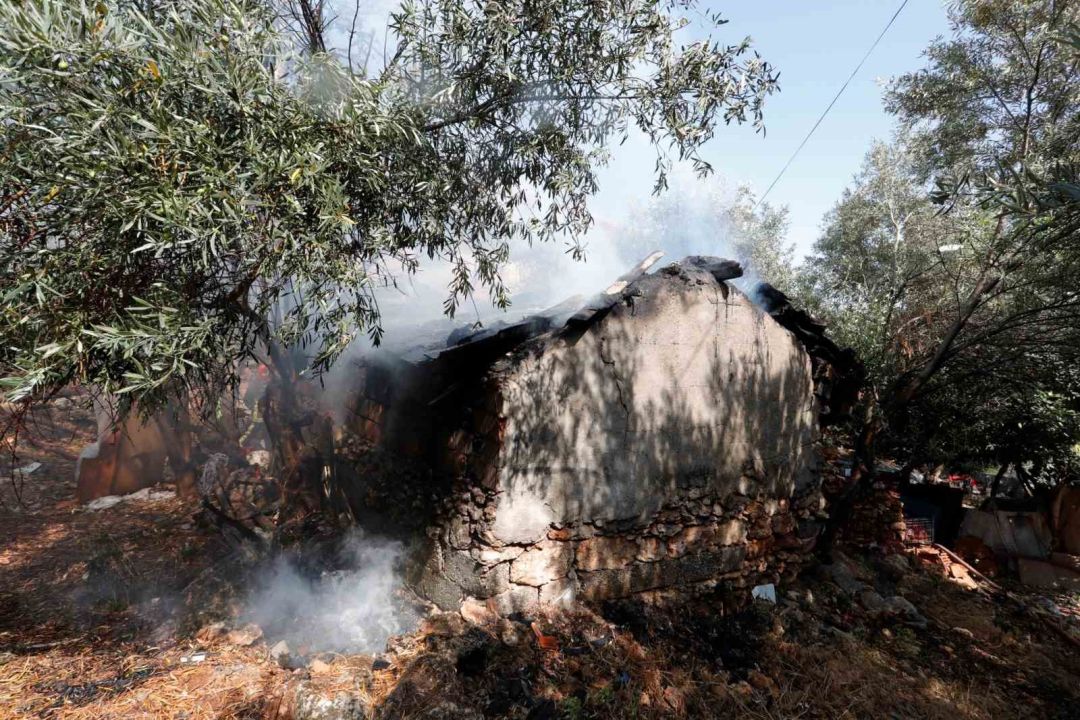 Kepez'de mangal keyfi kabusa döndü