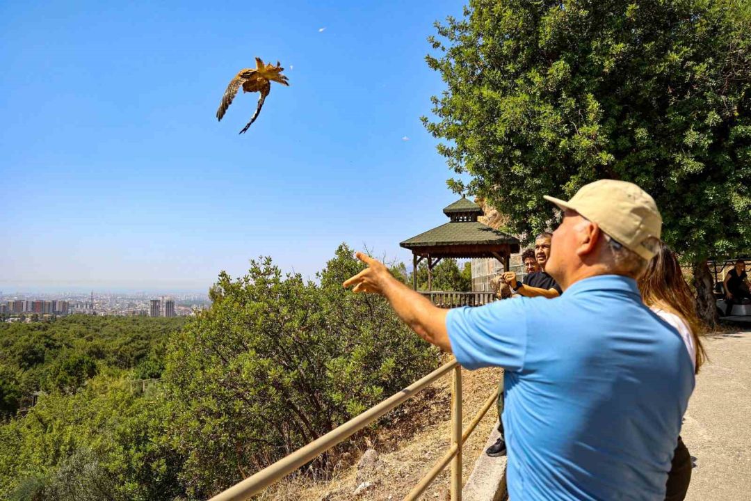 Doğal Yaşam Parkı'ndan özgürlüğe uçtular