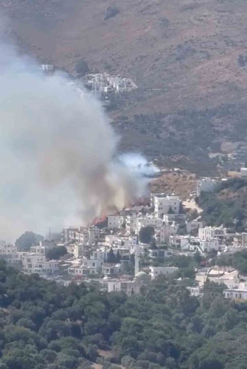 Bodrum’da makilik alanda yangın paniği