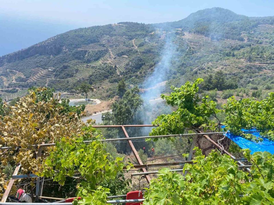 Bahçe yangını büyümeden söndürüldü