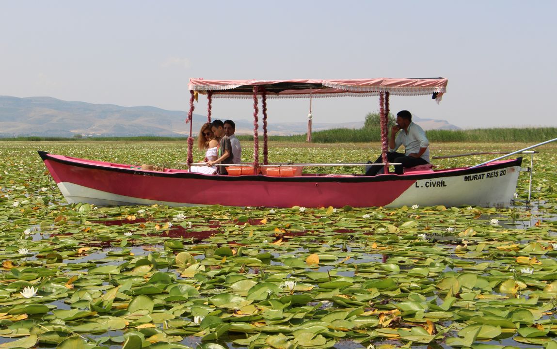 Işıklı Gölü’nde 'nilüfer' turizmi