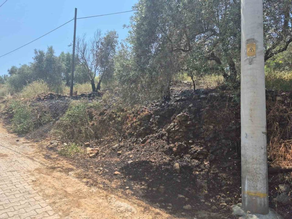 Ula’da yol kenarında çıkan yangın korkuttu