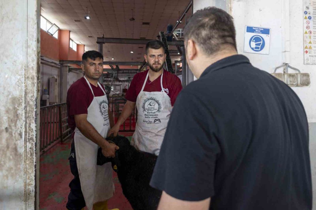 Mersin’de kurban kesimi hem hijyenik hem ücretsiz