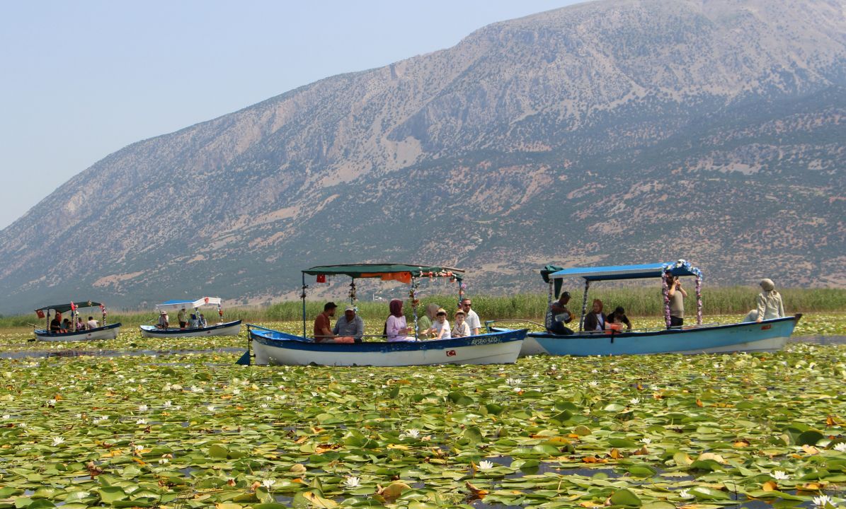 Işıklı Gölü’nde 'nilüfer' turizmi
