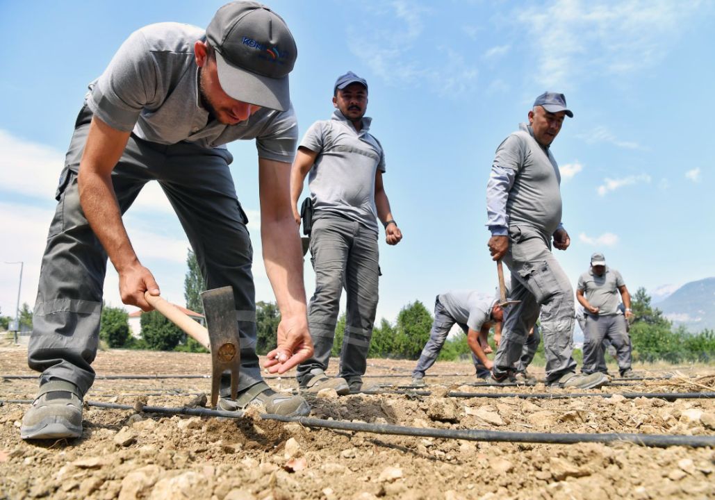 Çandır fasulyesi toprakla buluştu