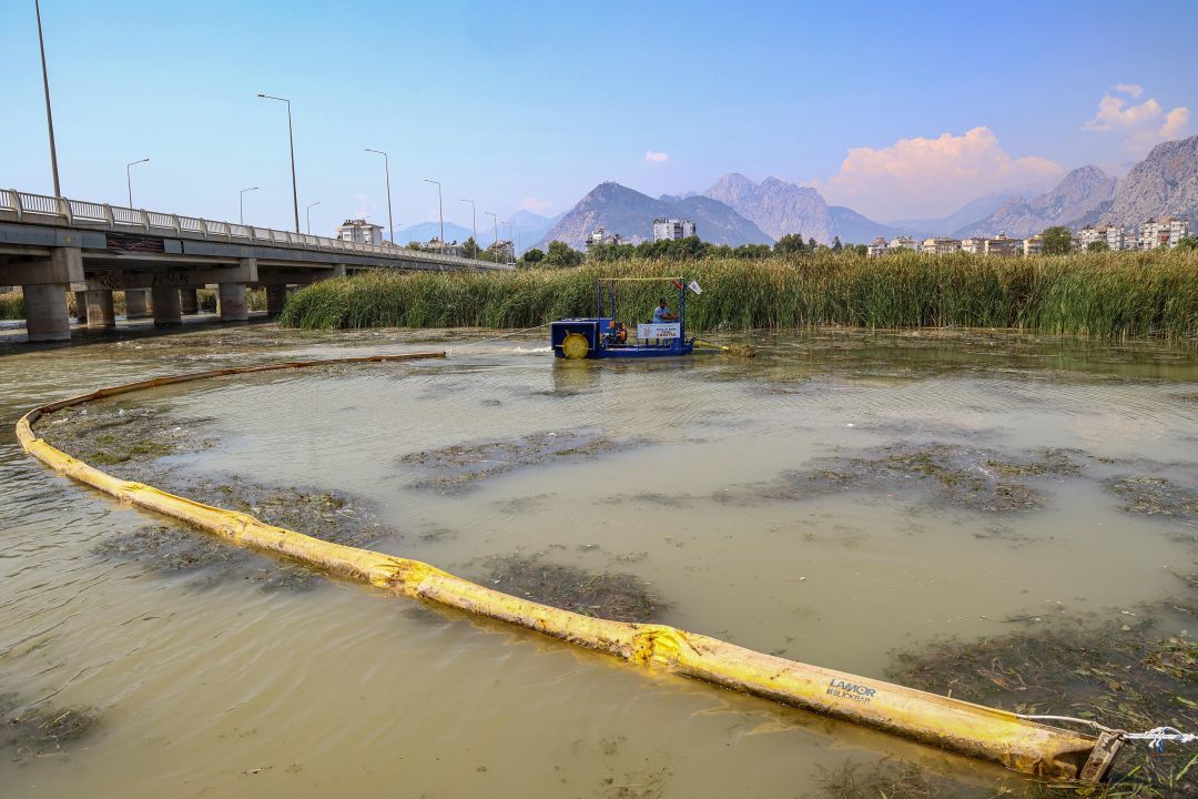 Boğaçayı'nda her gün 6 ile 8 ton arası sucul ot toplanıyor