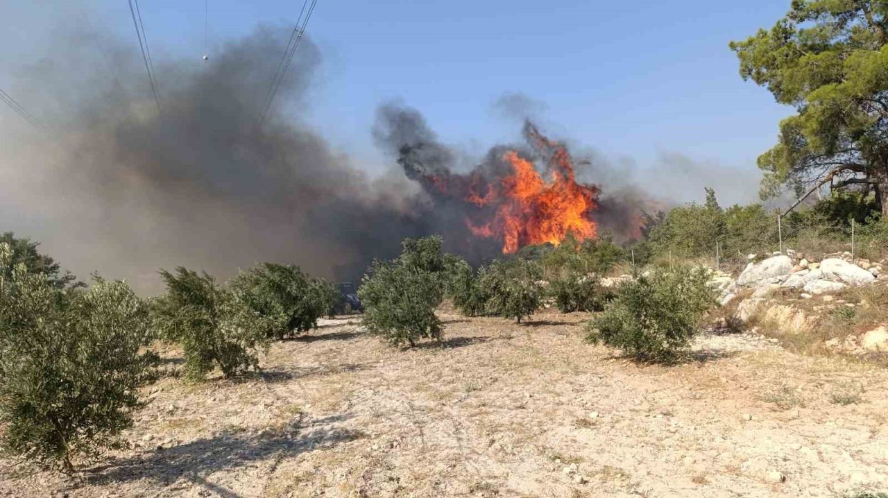 Mersin’deki orman yangını nedeniyle 3 mahalle boşaltıldı