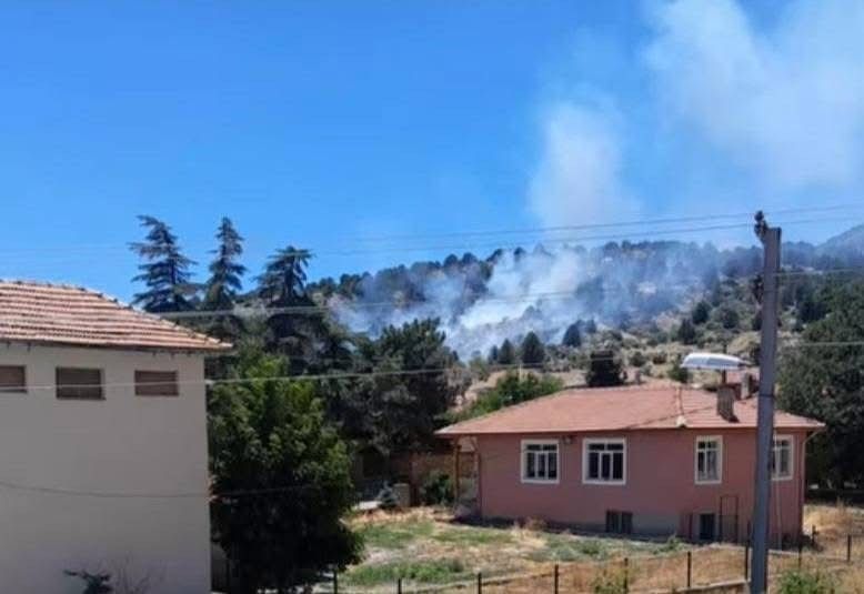 Isparta’daki orman yangını kontrol altına alındı