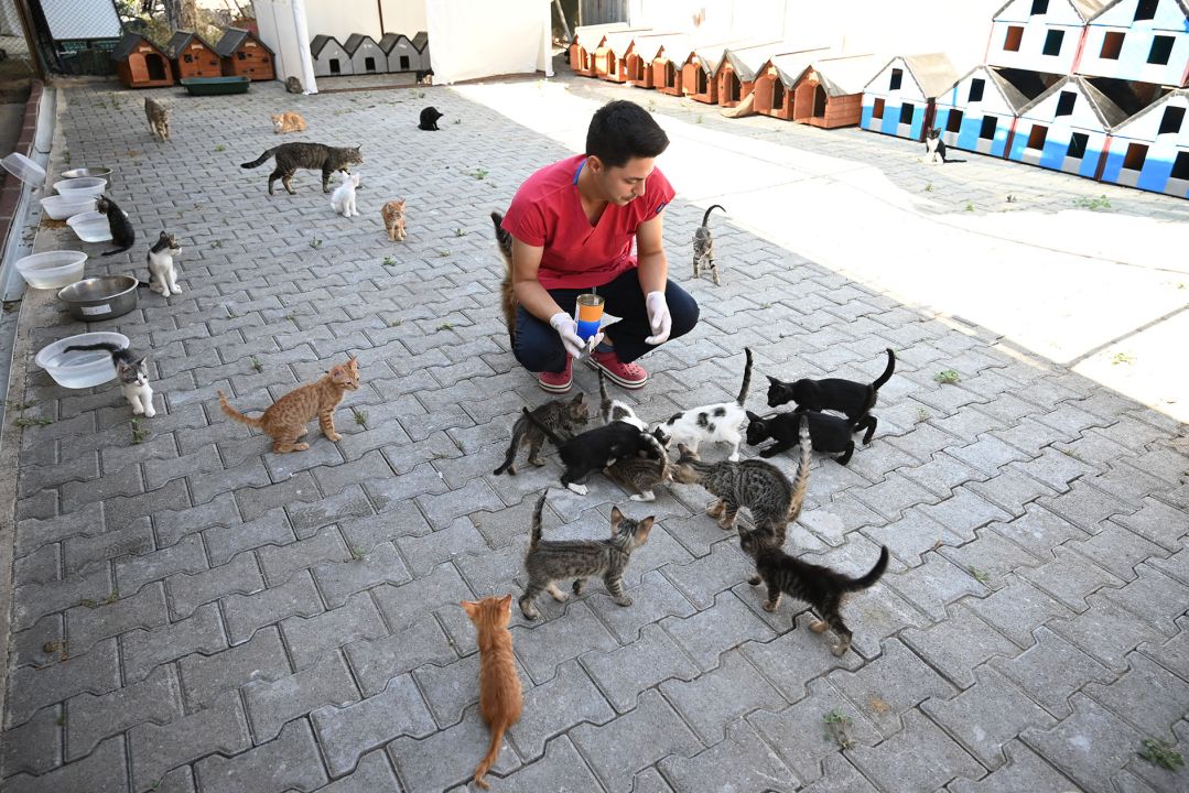 Kemer Belediyesi, can dostların yanında