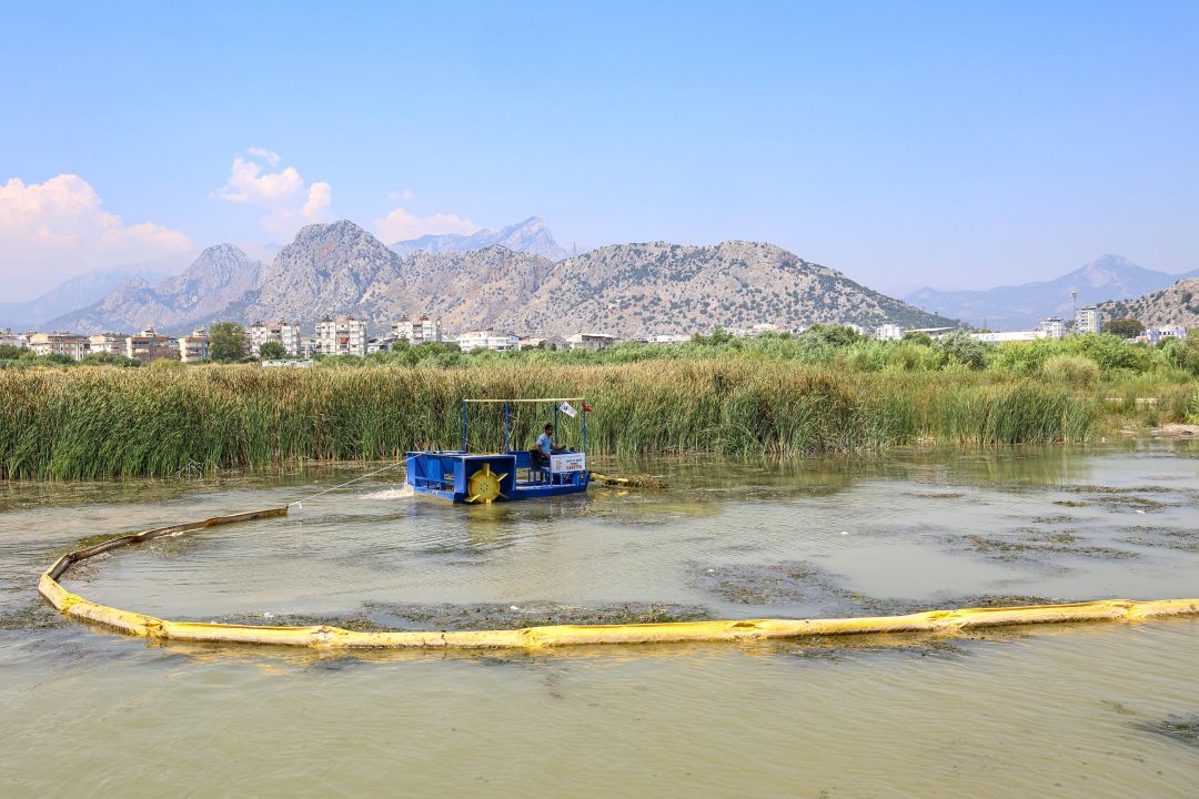 Boğaçayı'nda her gün 6 ile 8 ton arası sucul ot toplanıyor