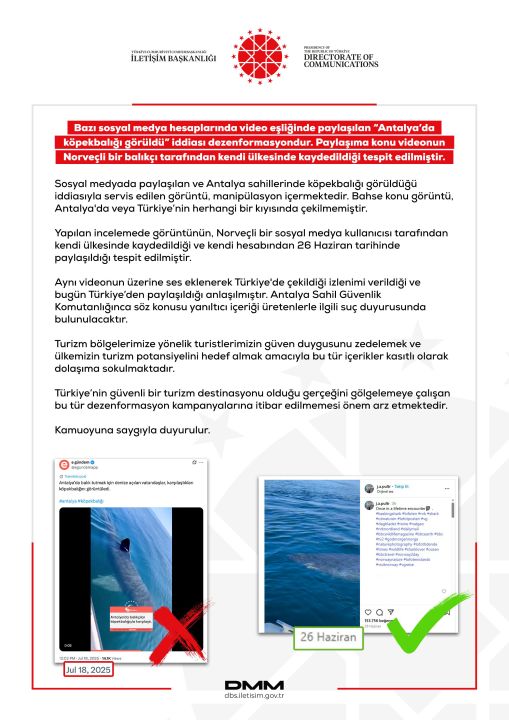 Sosyal medyadaki köpek balığı videosuna suç duyurusu