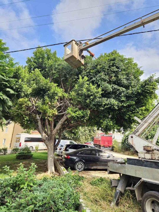 Alanya Belediyesi ve AEDAŞ’dan yangın riskine karşı önlem
