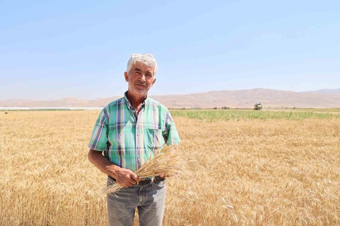 Korkuteli'ne hibe edilen ürünün hasadı başladı