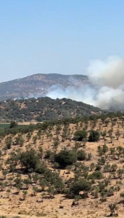 Milas’ta dumanlar yükseldi, müdahale sürüyor