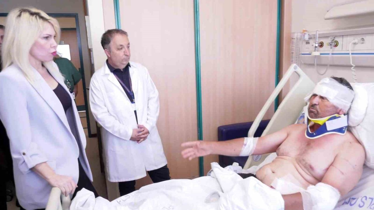 Aslanın saldırısına uğrayan adam: "Sivrisinekten ısırmasın diye üstümü örttüm, aslan ısırdı"