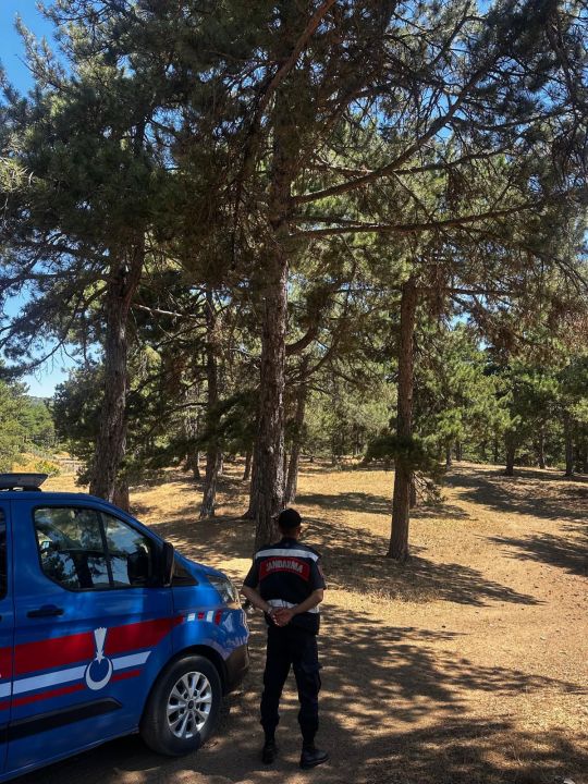 Jandarmadan orman denetimi