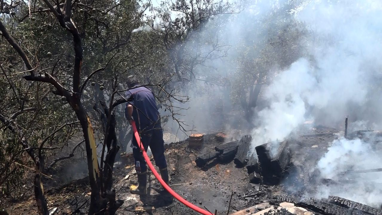 Portakal bahçesinde çıkan yangın büyümeden söndürüldü
