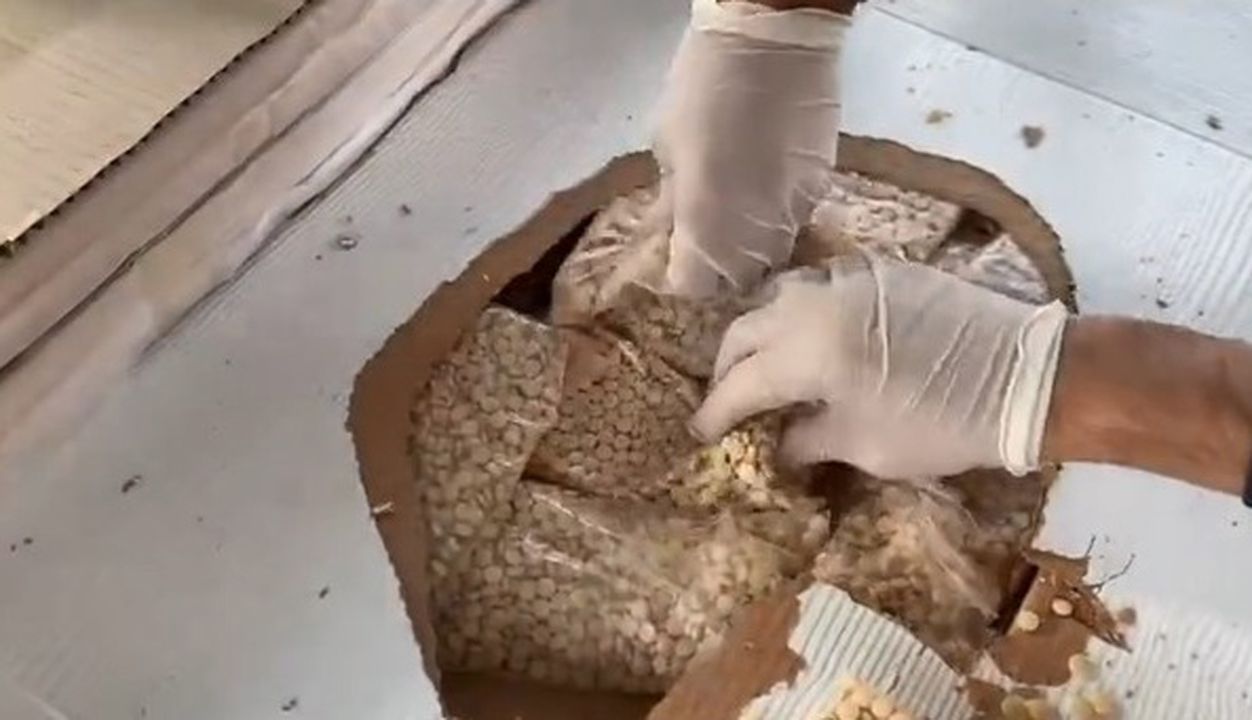 Esrar ve metamfetamine 'gümrük' darbesi