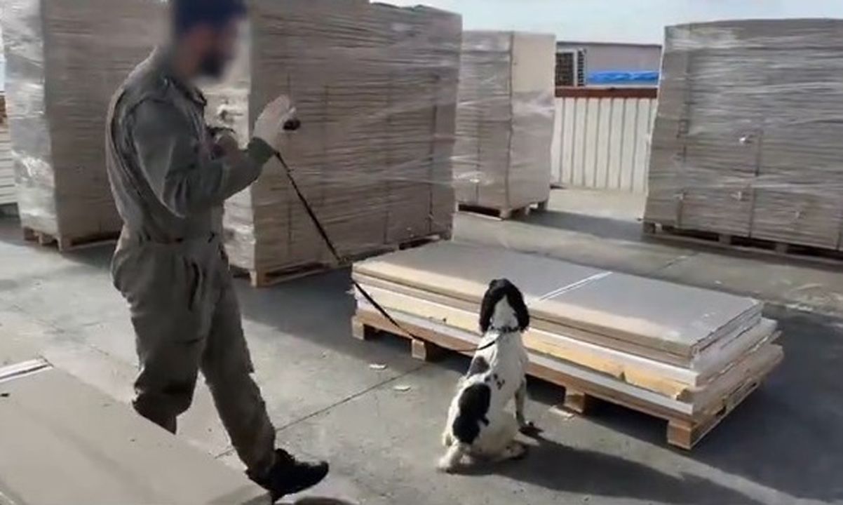 Esrar ve metamfetamine 'gümrük' darbesi
