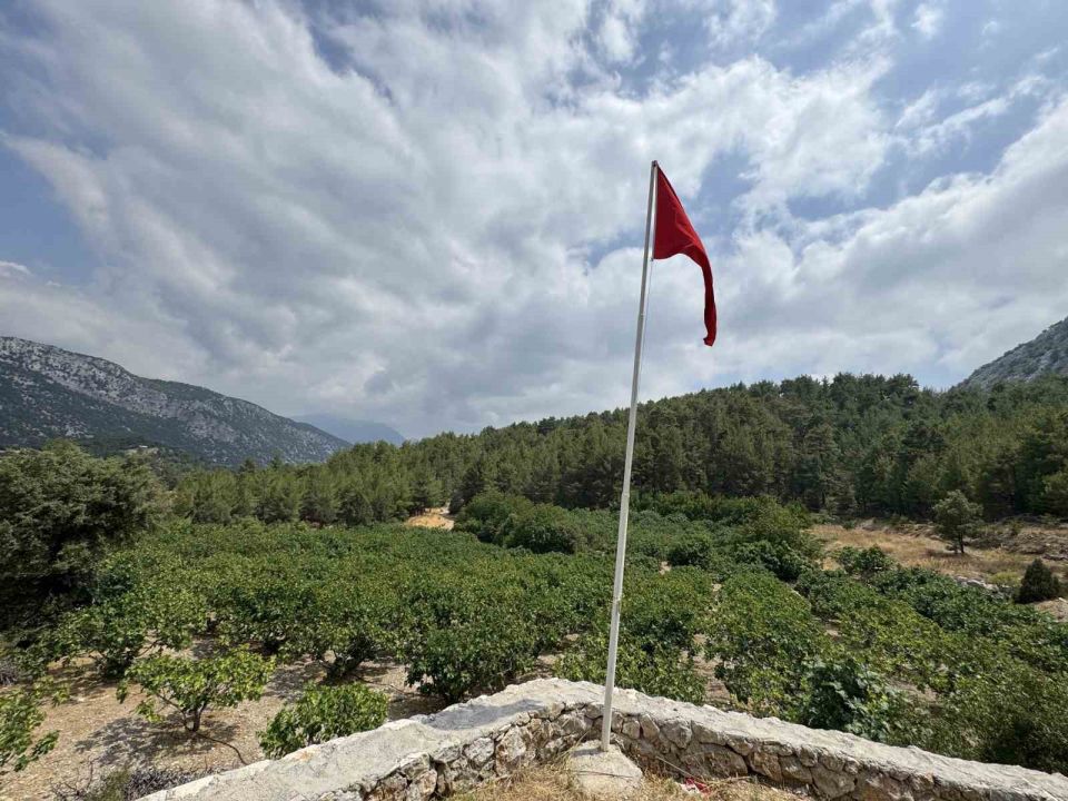 Antalya’da sıcak hava siyah incir rekoltesini yüzde 50 düşürdü