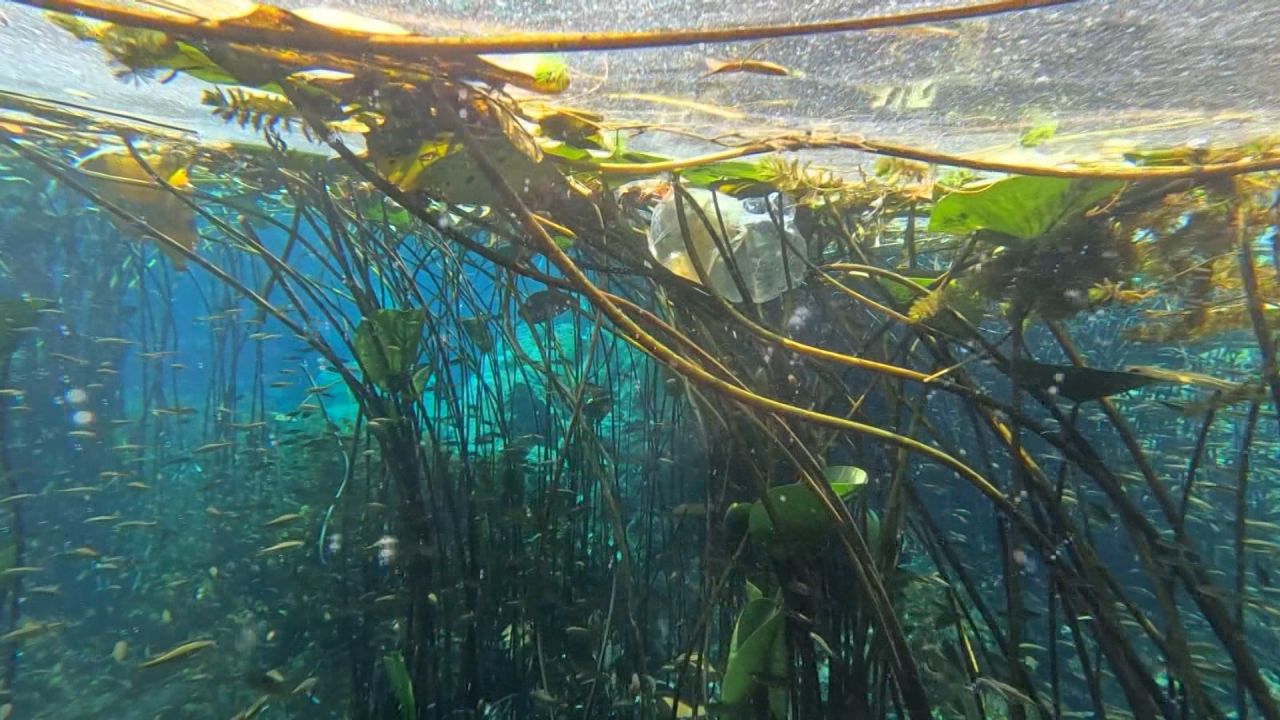 Antalya'nın içme suyu kaynağında çöp alarmı