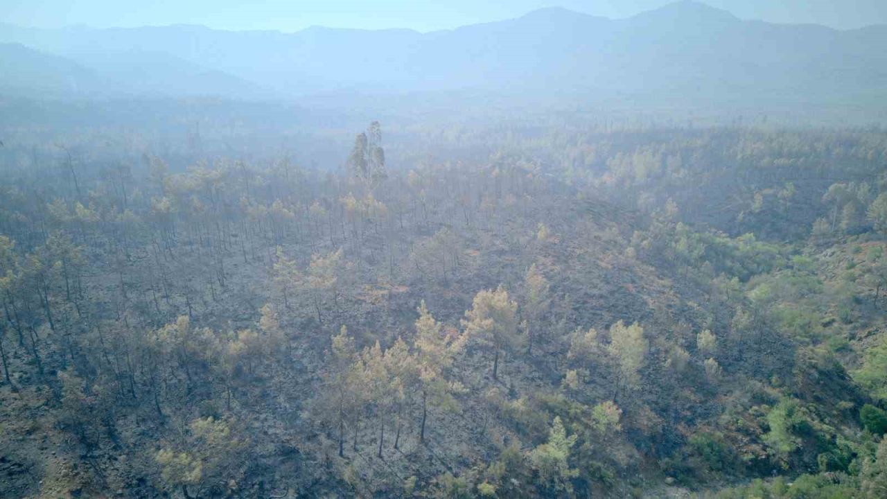 Muğla’da yangın felaketinin boyutu drone görüntüleriyle ortaya çıktı