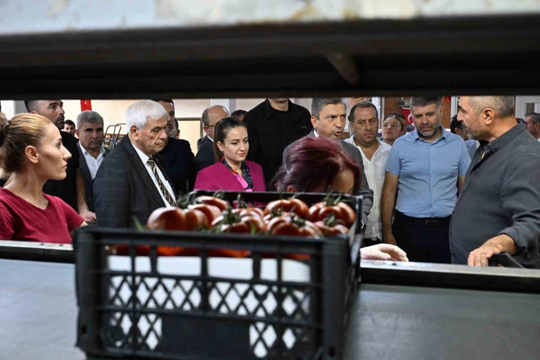 Antalya Hali’nde 20 Milyar TL işlem hacmi: Yeni sezon hazırlıkları başladı