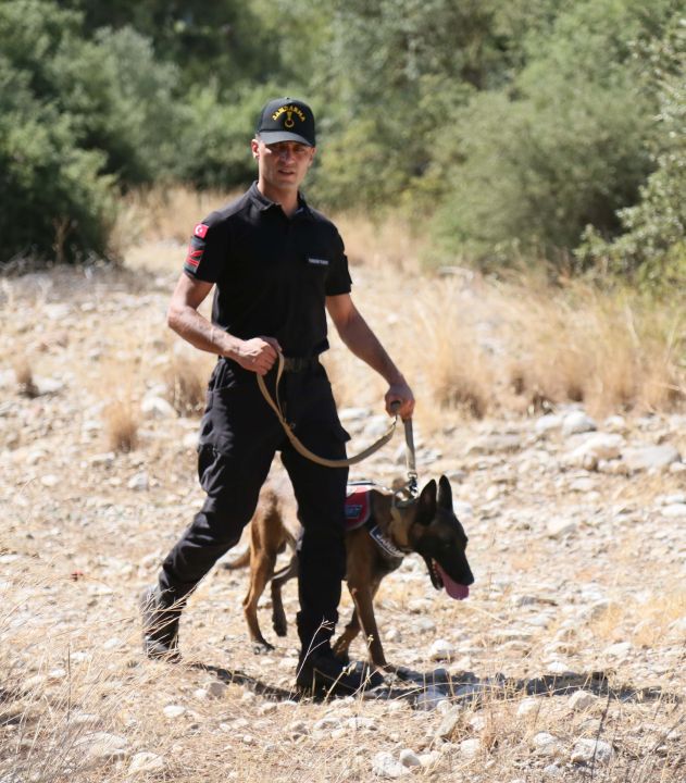 Antalya’nın yangın dedektifi: Eğitimli köpek ‘Hane’ göreve hazır