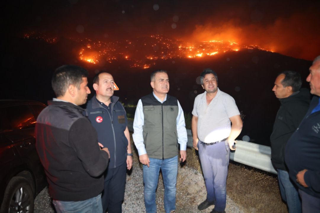 Muğla Köyceğiz'deki orman yangınında 2'nci gün