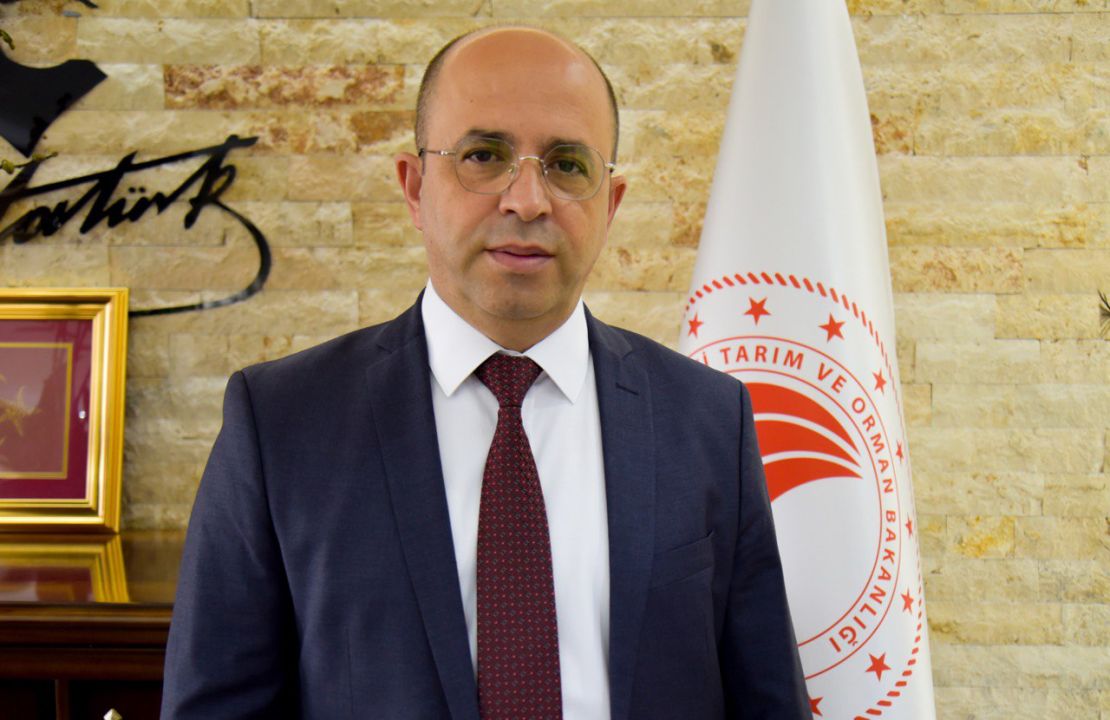 Türkiye’nin et sorununa çözüm mü? Antalya’da keçi çalıştayı düzenlenecek