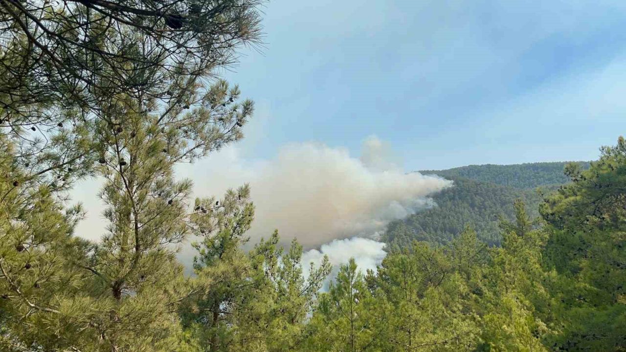 Alanya’da ormanlık alan yangınları kontrol altına alınmaya çalışılıyor