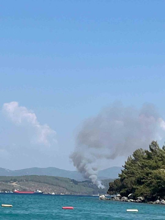 Bodrum’da orman yangını başladı