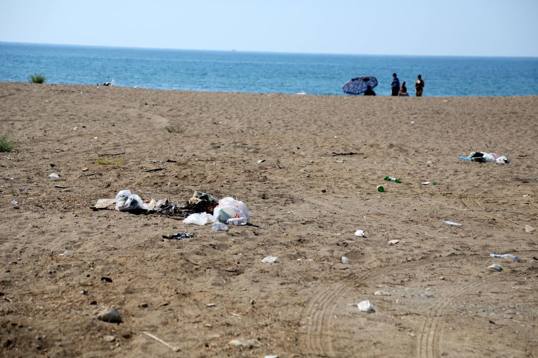Carettalar için tehlike çanları: Kumköy Sahili’nde kirlilik ve araç istilası