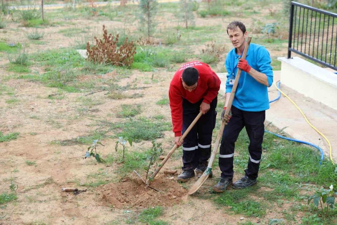 Menteşe Akçaova TOKİ Site yönetiminden ‘Yeşil Vatan’a fidanlı destek